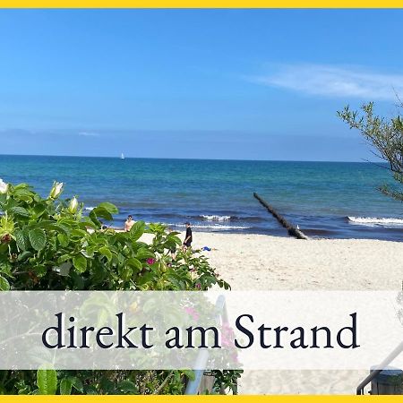 3 Zimmer App Duenengarten Fewo 58 Ostseebad Kühlungsborn Esterno foto