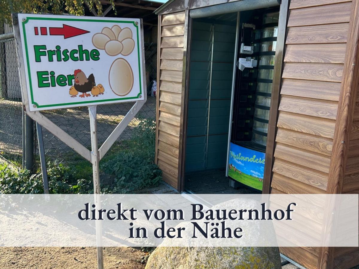 3 Zimmer App Duenengarten Fewo 58 Ostseebad Kühlungsborn Esterno foto