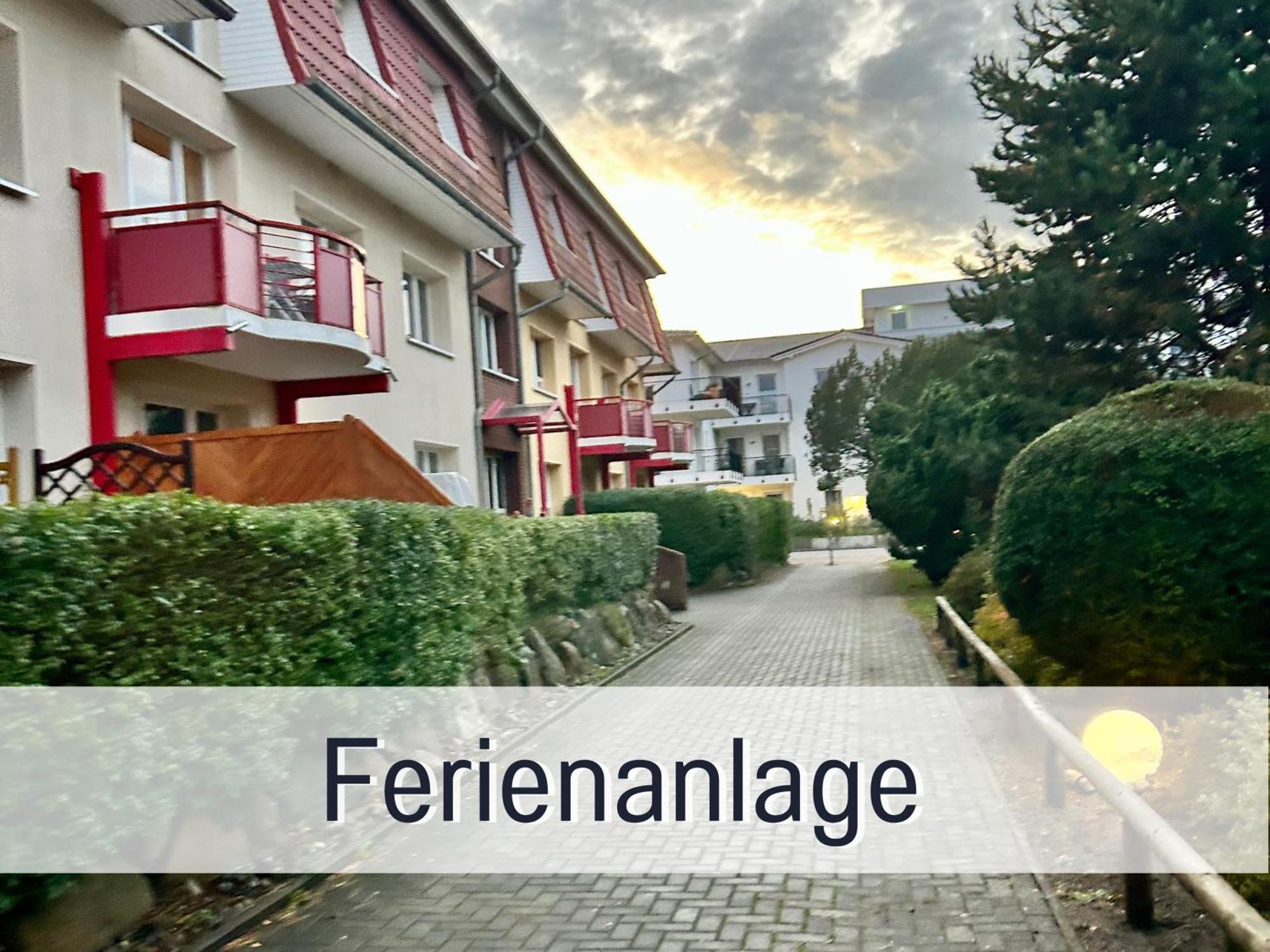 3 Zimmer App Duenengarten Fewo 58 Ostseebad Kühlungsborn Esterno foto
