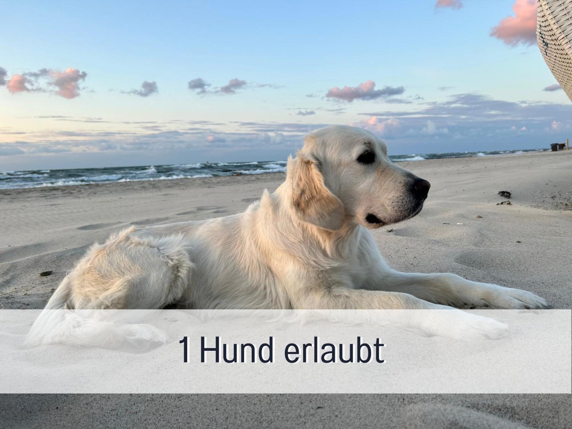 3 Zimmer App Duenengarten Fewo 58 Ostseebad Kühlungsborn Esterno foto